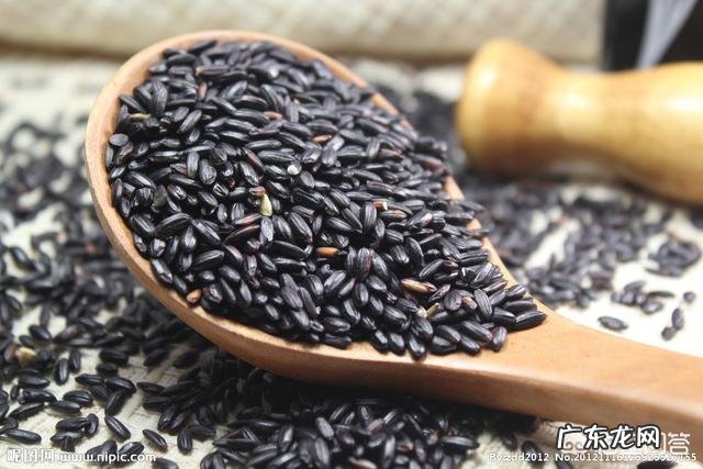 含铁高的食物有哪些适合孕妇吃?