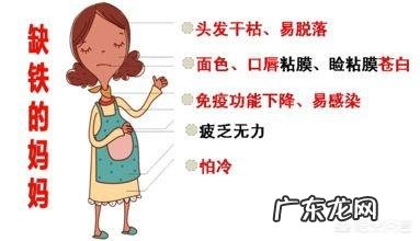 含铁高的食物有哪些适合孕妇吃?