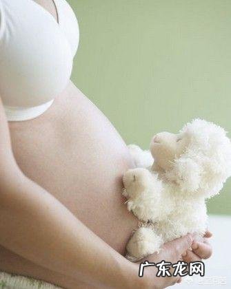 含铁高的食物有哪些适合孕妇吃?