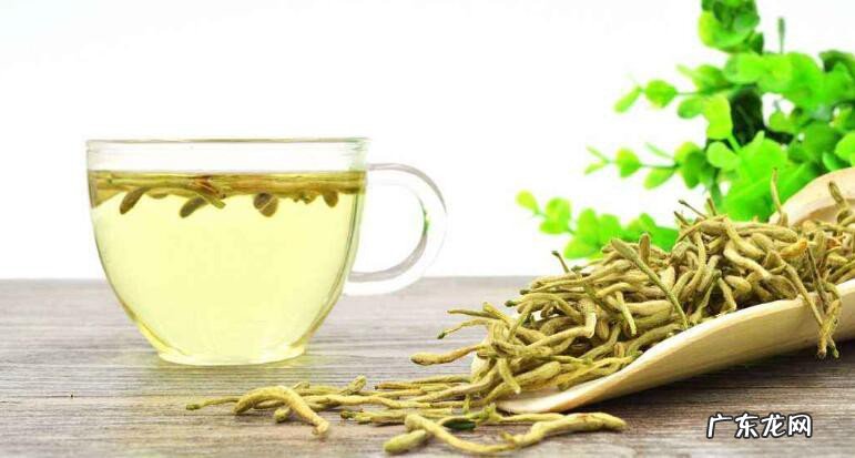 金银花泡茶有什么功效