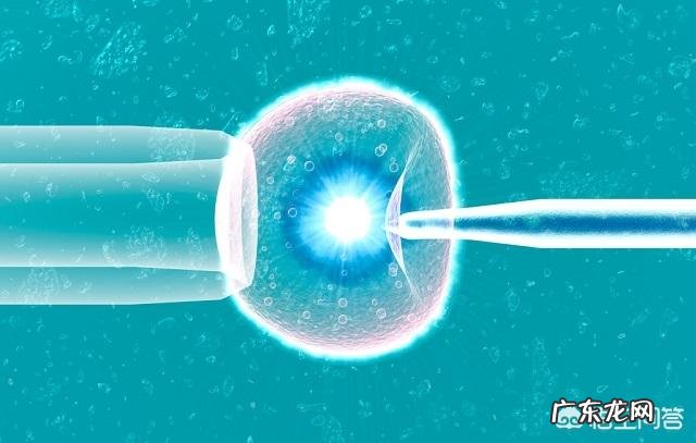 为什么美国试管婴儿成功率高?