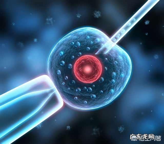 为什么美国试管婴儿成功率高?