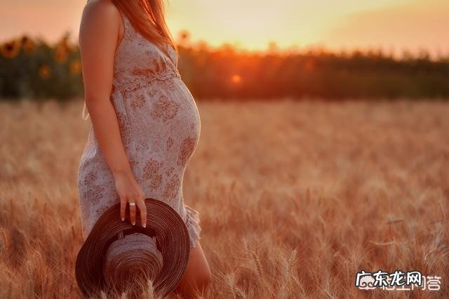 为什么美国试管婴儿成功率高?