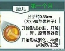 胎儿每个月发育特征指标，如何判断胎儿是否发育迟缓？