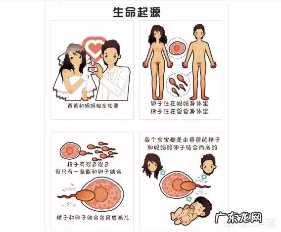 我国应如何加强预防艾滋病的宣传力度?