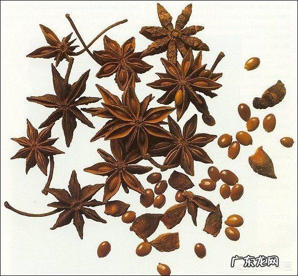 大茴香和小茴香的区别是什么?