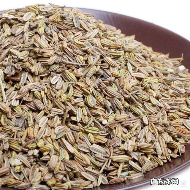 大茴香和小茴香的区别是什么?