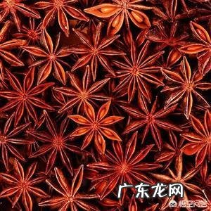 大茴香和小茴香的区别是什么?