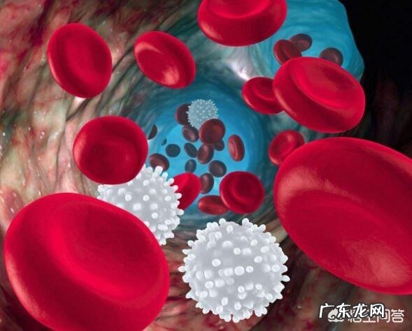 化疗后吃什么食物补白细胞?