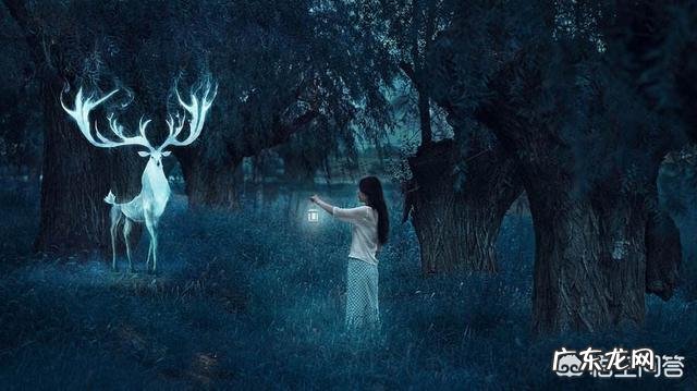 总是会梦到前女友怎么办?