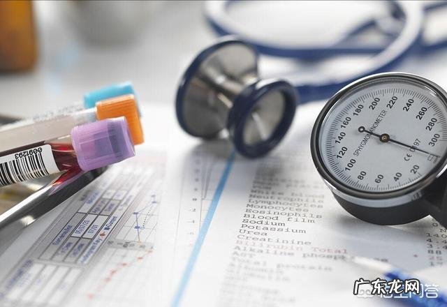 叶酸的主要功能是什么?