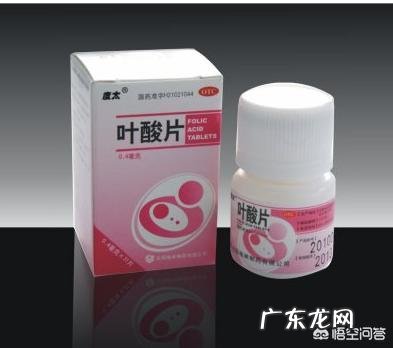 叶酸的主要功能是什么?