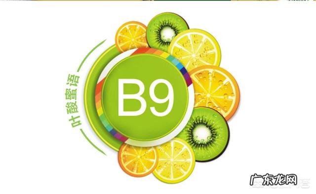 叶酸的主要功能是什么?