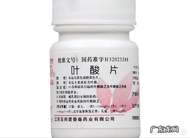 叶酸的主要功能是什么?