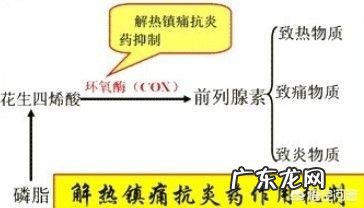 布洛芬和芬太尼有什么区别？