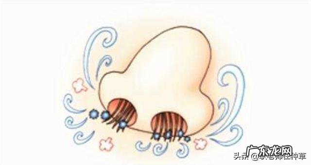 人的鼻毛可以长多长?