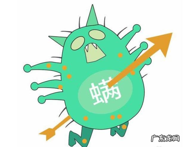 螨虫的克星有哪些？