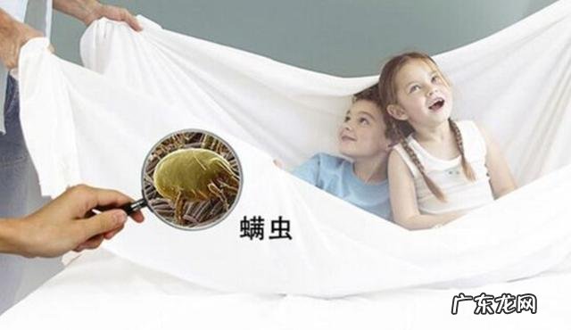 螨虫的克星有哪些？