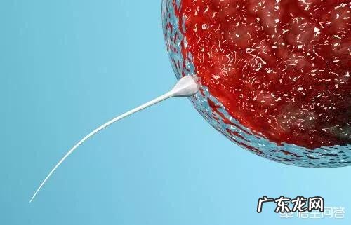 打促排卵针真的能生双胞胎吗?