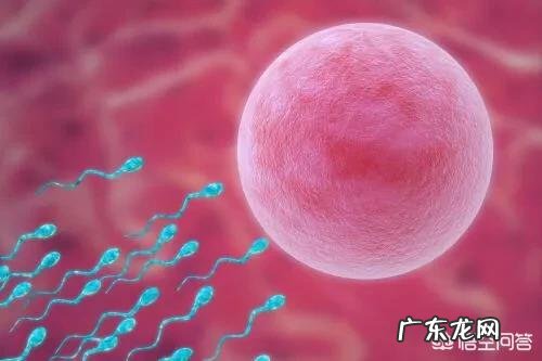 打促排卵针真的能生双胞胎吗?