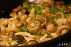 菌子的制作方法