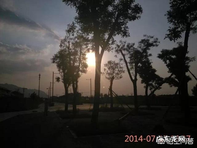 儿子刚上大一居然挂科了，作为家长该怎么办？