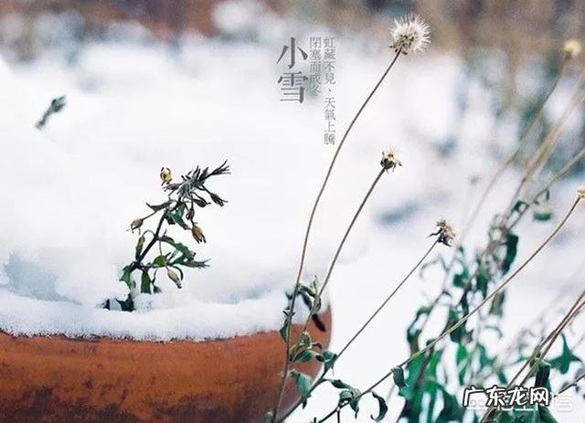 农村俗语“小雪雪满天,来年必丰年”是什么意思?有道理吗?