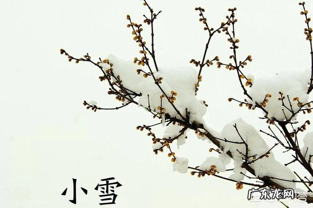 农村俗语“小雪雪满天,来年必丰年”是什么意思?有道理吗?