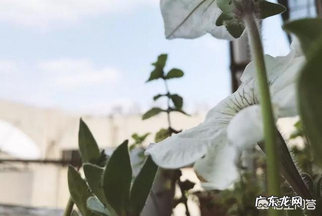 求一篇深度美文?