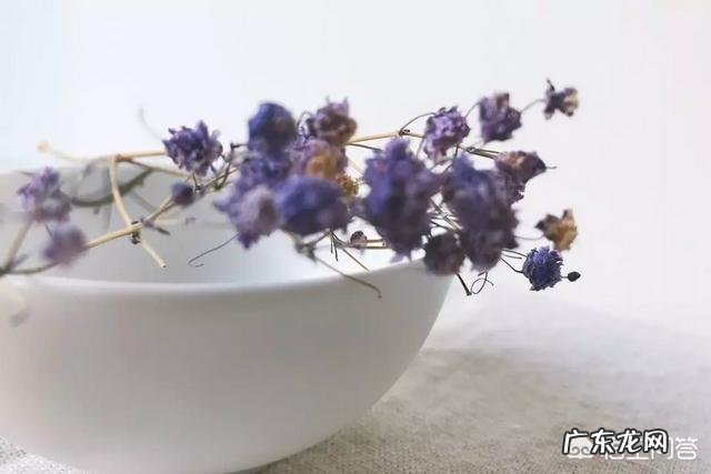 求一篇深度美文?