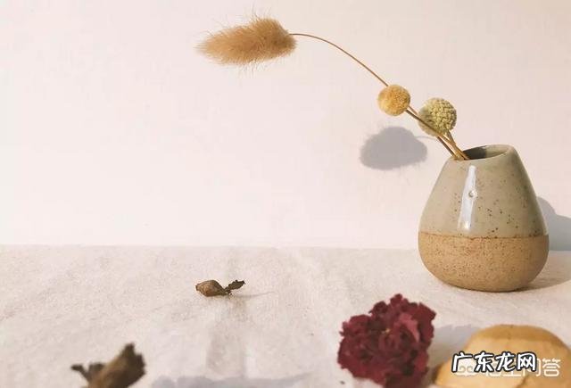 求一篇深度美文?