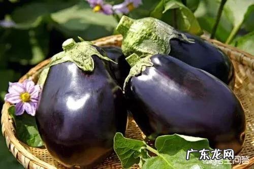 求一篇深度美文？