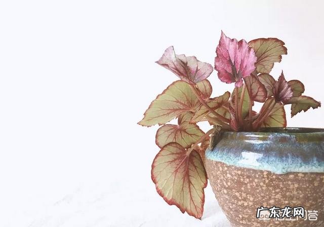 求一篇深度美文?