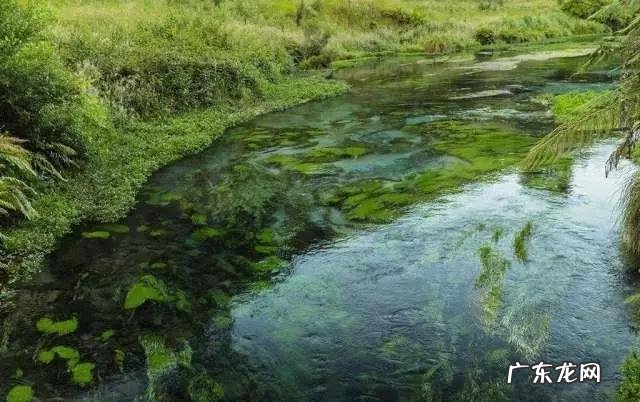 宝宝怎么样喝水最健康?