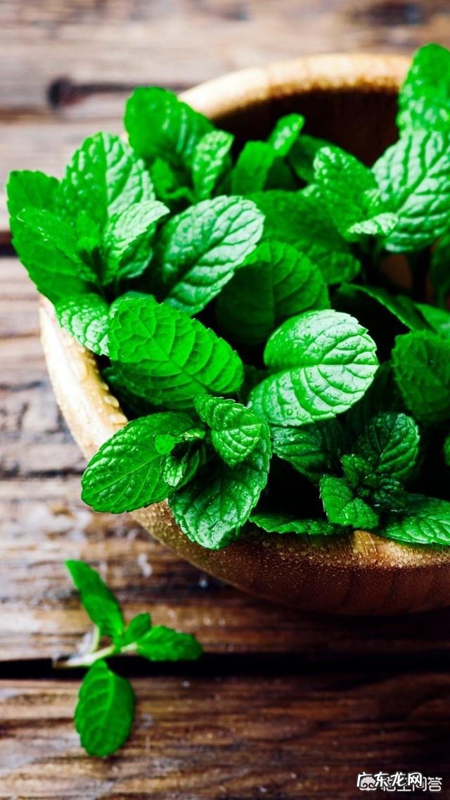 宝宝感冒流鼻涕吃什么好?