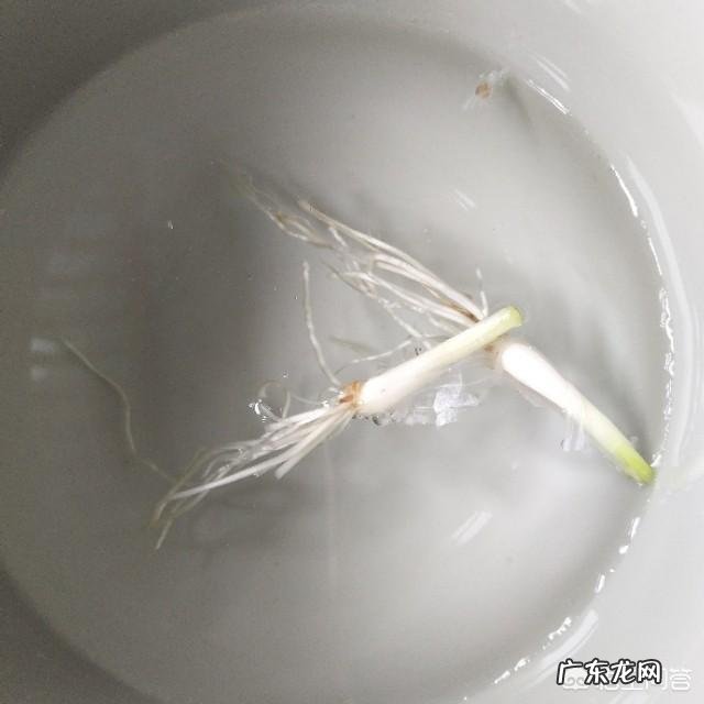 宝宝感冒流鼻涕吃什么好?