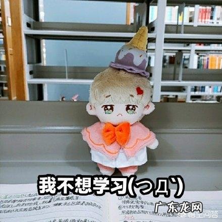 三年级的孩子不爱学习怎么办?