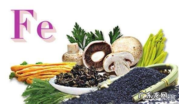 女性在备孕期限需要特别注意什么?