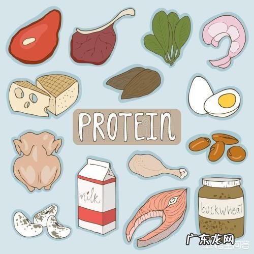 女性在备孕期限需要特别注意什么?