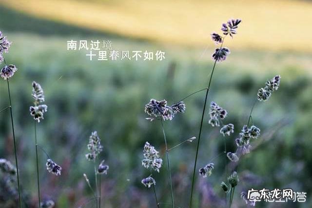 分手后对方已有新欢,该如何去挽回?