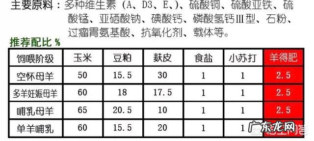 母羊太肥,羔羊能顺产吗?