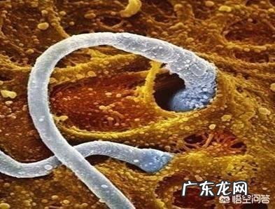 为什么有人说受精卵着床会有感冒的症状,有的却说什么感觉也没有?