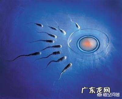 为什么试管婴儿还会有宫外孕？如何更好的避免宫外孕的发生？