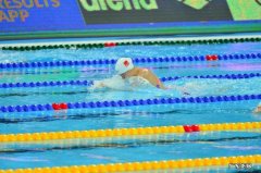 蛙泳技术的动作方法