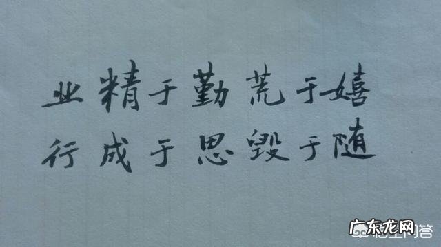 你想对胸怀大志却游手好闲的人说些什么?