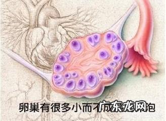 多囊卵巢导致不孕可以做试管婴儿吗?