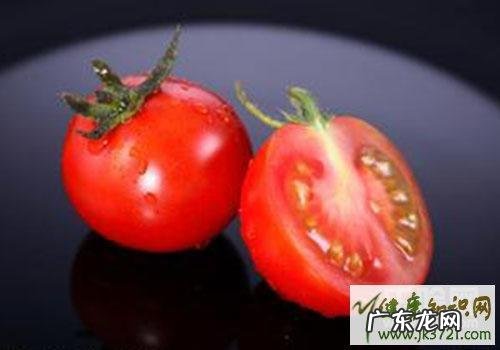 西红柿是哪个季节的食物,怎么吃最营养?