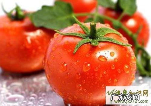 西红柿是哪个季节的食物,怎么吃最营养?