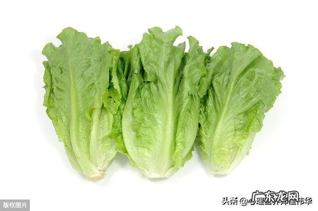 常吃生菜对身体有什么好处?