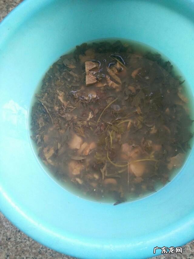 艾草水泡脚能治脚气吗?